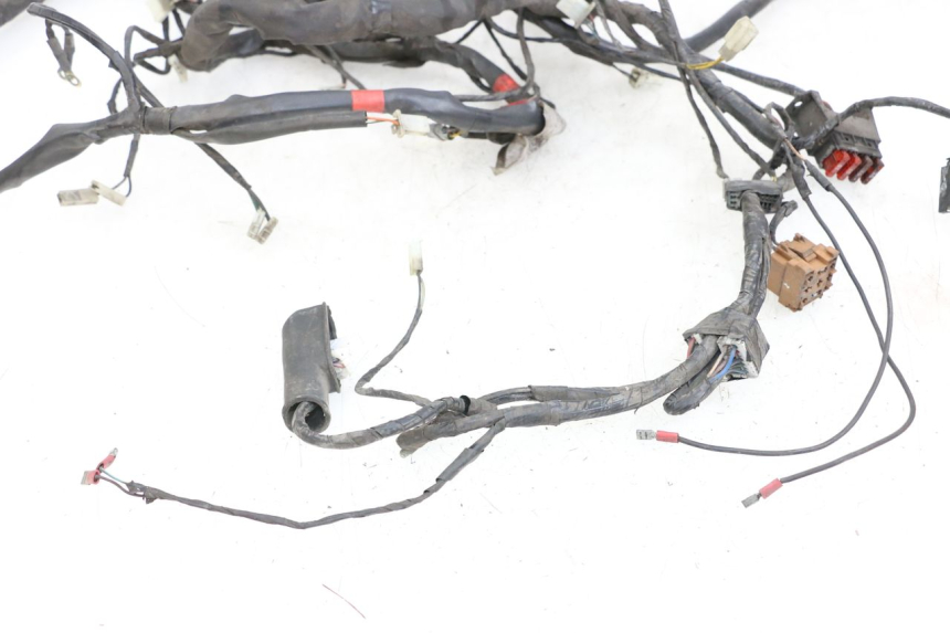 photo de CABLEADO PIAGGIO X9 125 (2000 - 2003) - Vista general del producto