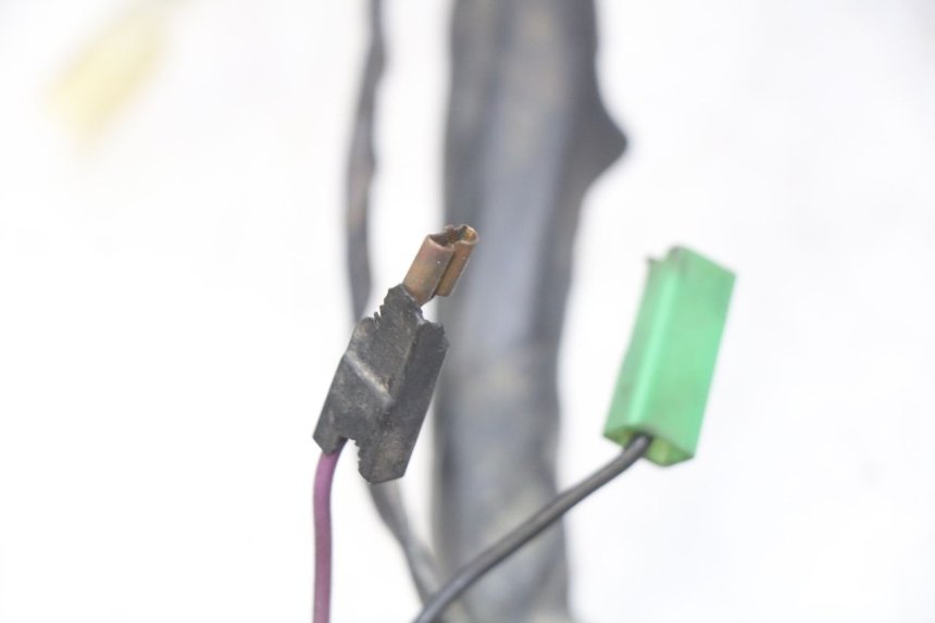 photo de CABLEADO PIAGGIO XEVO - X EVO 125 (2007 - 2017) - Detalle de la pieza