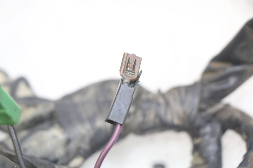 photo de CABLEADO PIAGGIO XEVO - X EVO 125 (2007 - 2017) - Zoom estado de uso