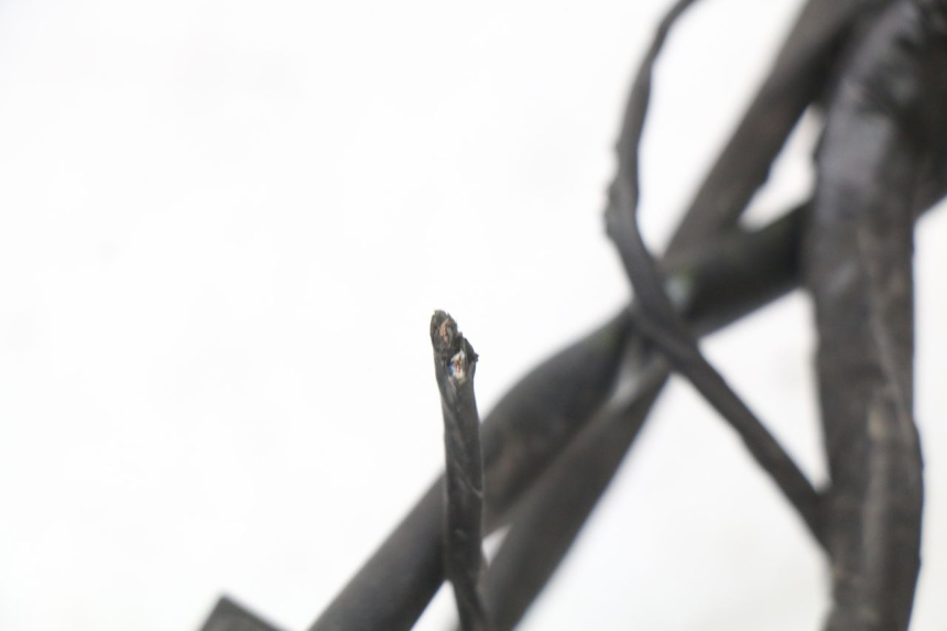 photo de CABLEADO PIAGGIO XEVO - X EVO 125 (2007 - 2017) - Otra vista del artículo