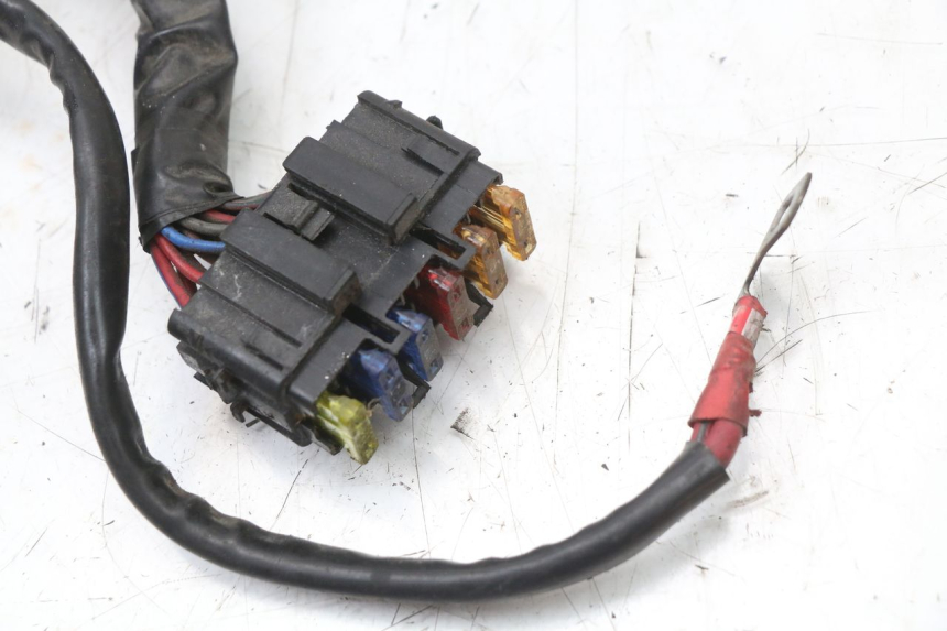 photo de CABLEADO PIAGGIO XEVO - X EVO 125 (2007 - 2017) - Vista general del producto