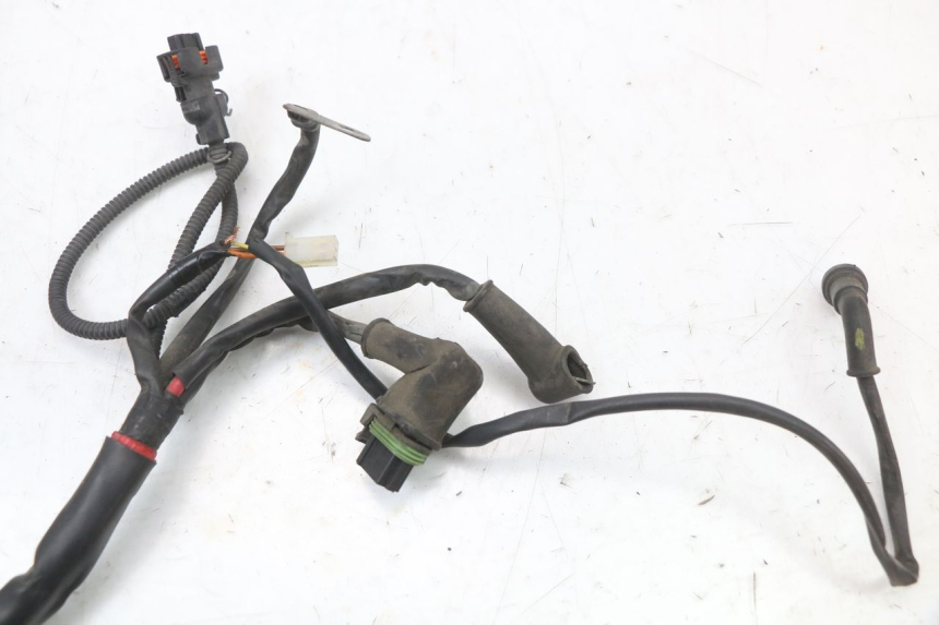 photo de CABLEADO PIAGGIO XEVO - X EVO 125 (2007 - 2017) - Recambio usado revisado