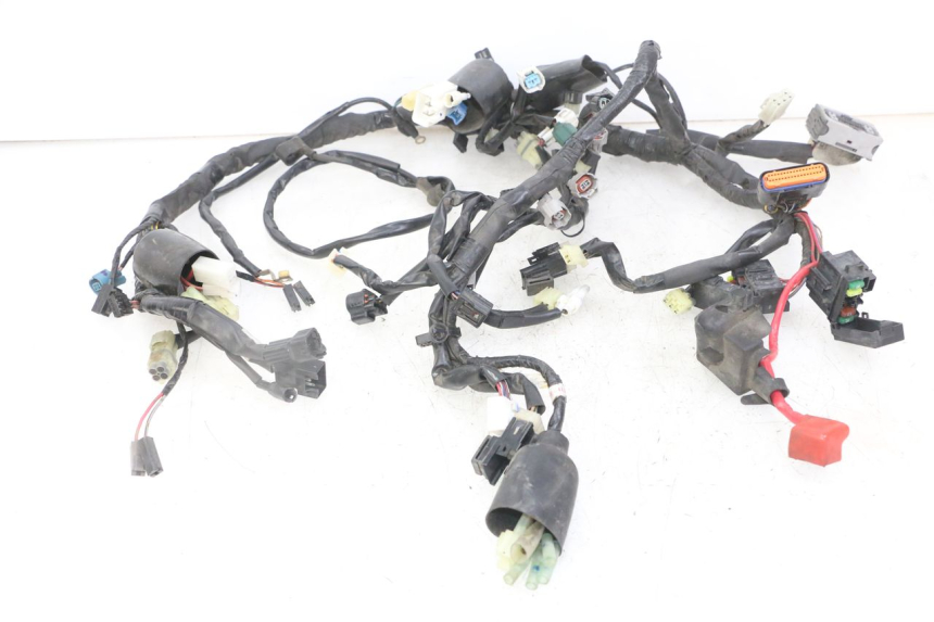 photo de CABLEADO YAMAHA XJ6 ABS 600 (2008 - 2016) - Vista principal