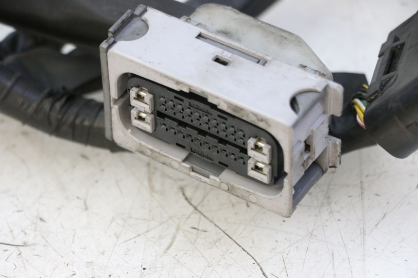 photo de CABLEADO YAMAHA XJ6 ABS 600 (2008 - 2016) - Características distintivas