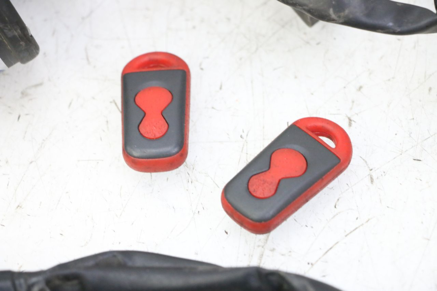 photo de CABLEADO YAMAHA XJ6 ABS 600 (2008 - 2016) - Zoom calidad de ocasión