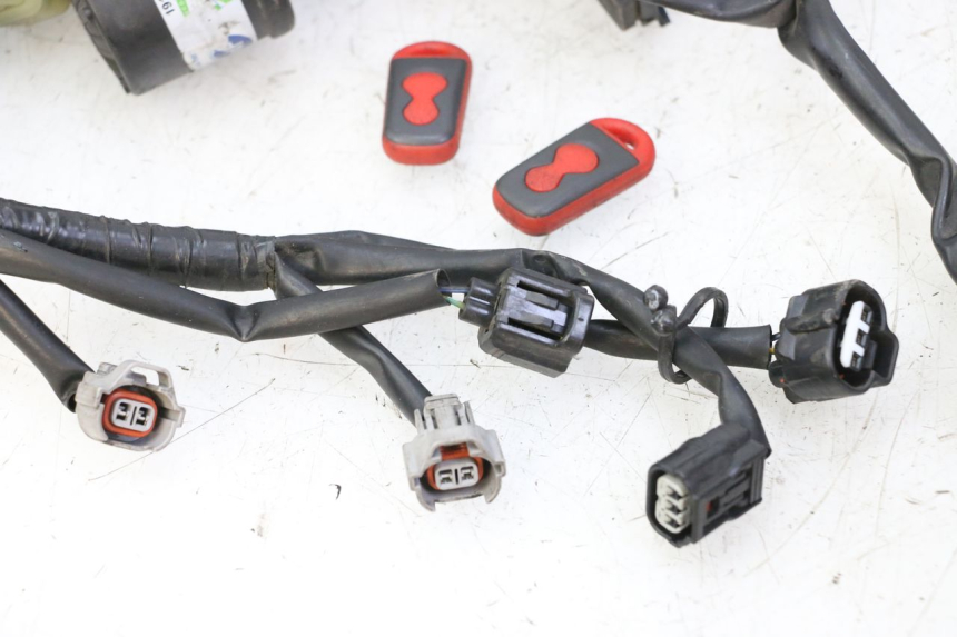 photo de CABLEADO YAMAHA XJ6 ABS 600 (2008 - 2016) - Perfil de la pieza de repuesto