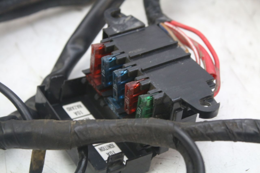 photo de CABLEADO YAMAHA XJN DIVERSION 600 (2000 - 2003) - Vista general del producto