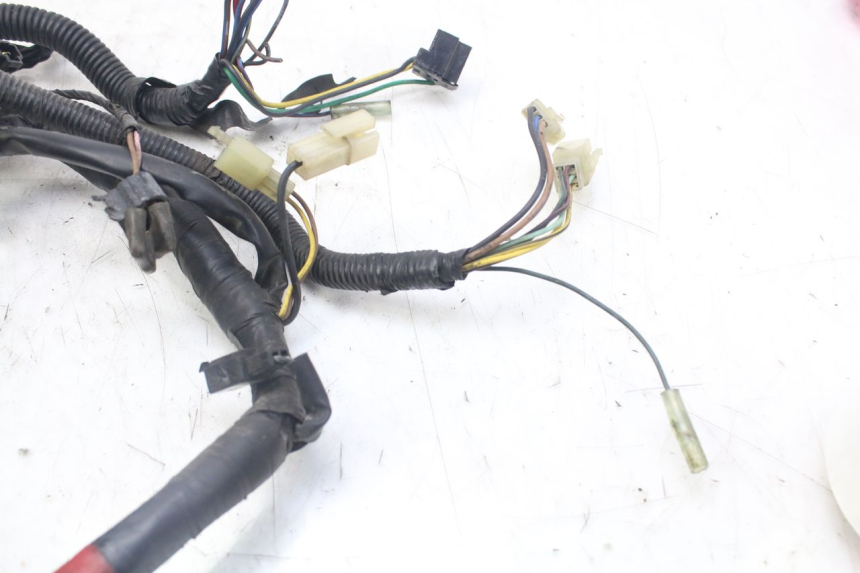photo de CABLEADO YAMAHA XJN DIVERSION 600 (2000 - 2003) - Recambio usado revisado