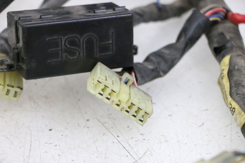 photo de CABLEADO YAMAHA XJN DIVERSION 600 (2000 - 2003) - Zoom sobre los componentes