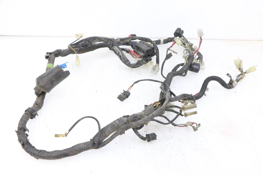 photo de CABLEADO YAMAHA XJN DIVERSION 600 (2000 - 2003) - Primer plano técnico