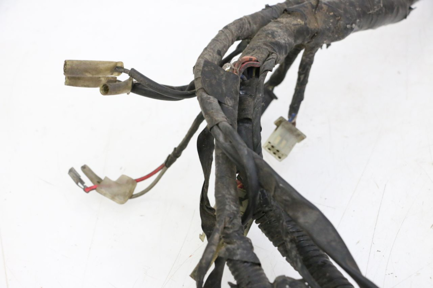 photo de CABLEADO YAMAHA XJN DIVERSION 600 (2000 - 2003) - Marcados y referencias originales