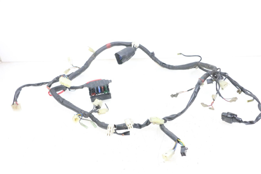 photo de CABLEADO YAMAHA XJS DIVERSION 600 (1997 - 1999) - Vista principal