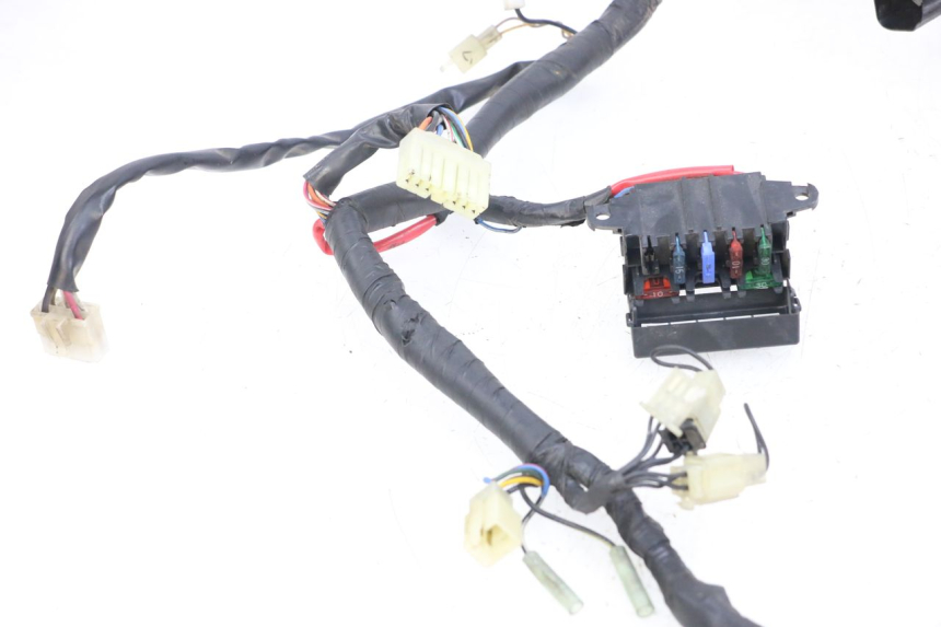 photo de CABLEADO YAMAHA XJS DIVERSION 600 (1997 - 1999) - Marcados y referencias originales