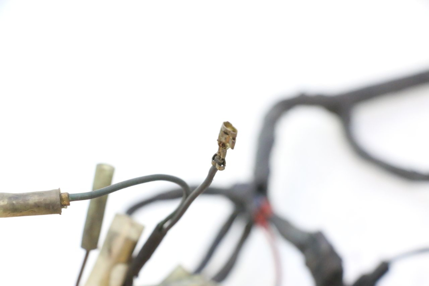 photo de CABLEADO YAMAHA XV VIRAGO 535 (1988 - 2004) - Marcados y referencias originales