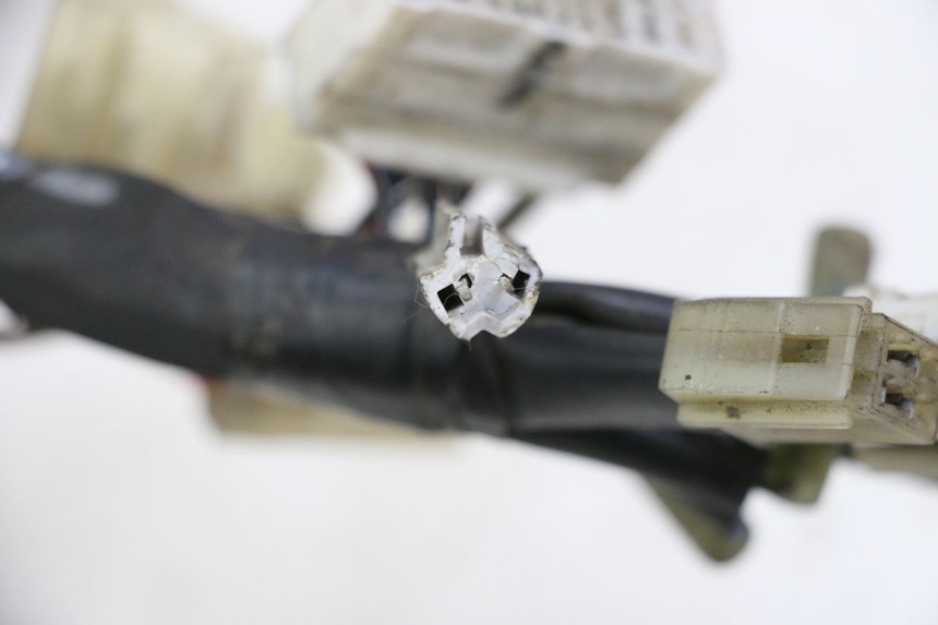 photo de CABLEADO YAMAHA FZ6 FAZER S2 600 (2007 - 2011) - Vista general del producto