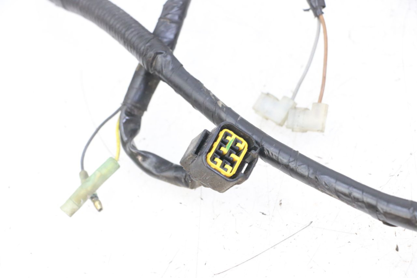 photo de CABLEADO YAMAHA NEO'S NEOS 2T EASY 50 (2013 - 2016) - Marcados y referencias originales