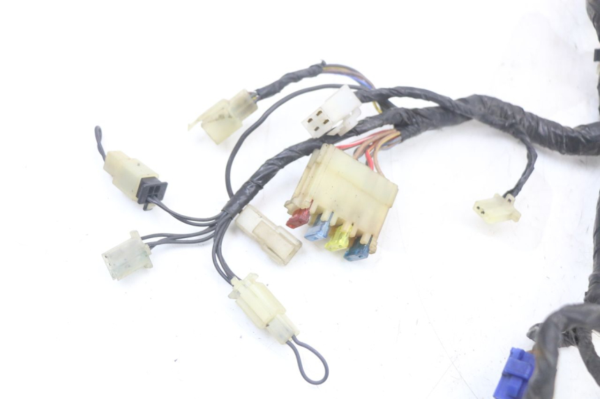 photo de CABLEADO YAMAHA XVS DRAG STAR DRAGSTAR 650 (1997 - 2007) - Otra perspectiva