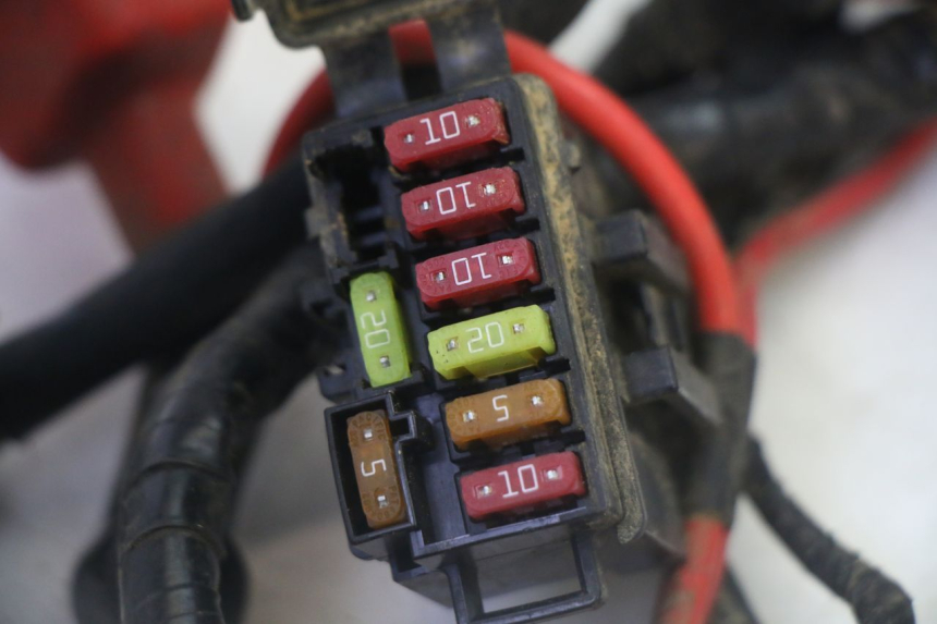 photo de CABLEADO YAMAHA YFM GRIZZLY 550 (2008 - 2015) - Otra vista del artículo