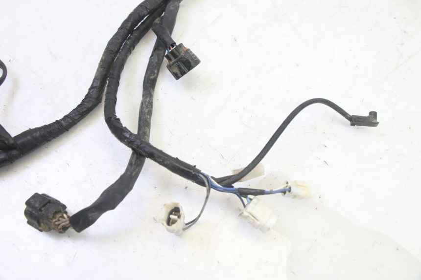 photo de CABLEADO YAMAHA YFM GRIZZLY 550 (2008 - 2015) - Otra perspectiva