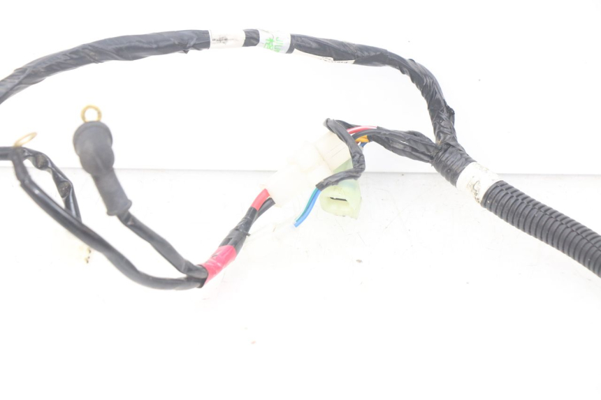 photo de CABLEADO YAMAHA YFM R RAPTOR 90 (2017 - 2023) - Vista general del producto