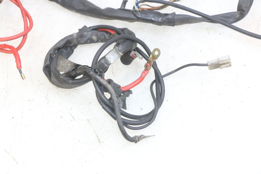 photo de CABLEADO YAMAHA YP MAJESTY 125 (1998 - 2001) - Vista general del producto