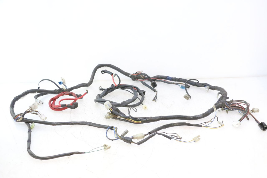 photo de CABLEADO YAMAHA YP MAJESTY 125 (2007 - 2010) - Vista principal