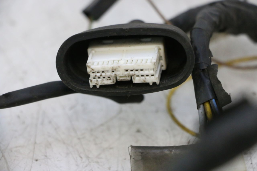 photo de CABLEADO YAMAHA YP MAJESTY 125 (2002 - 2006) - Primer plano de alta resolución