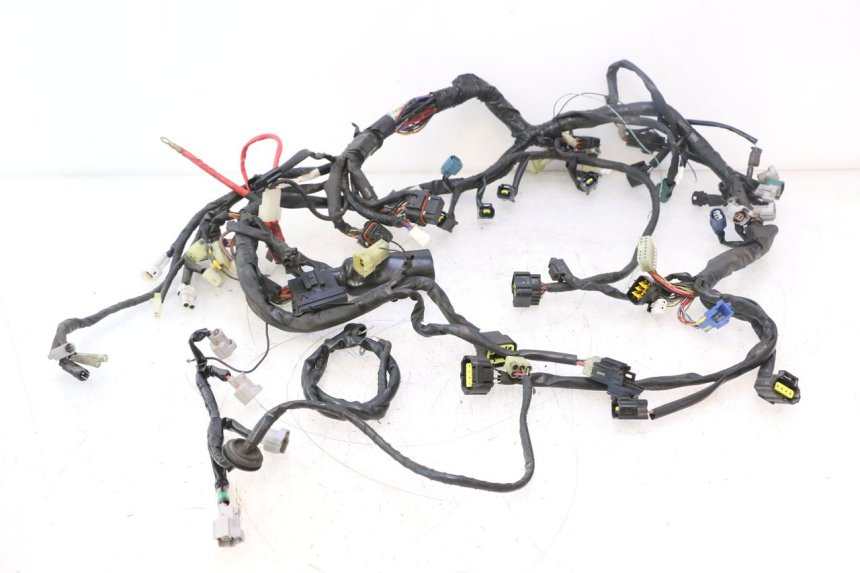 photo de CABLEADO YAMAHA YZF R6 600 (2008 - 2009) - Vista principal