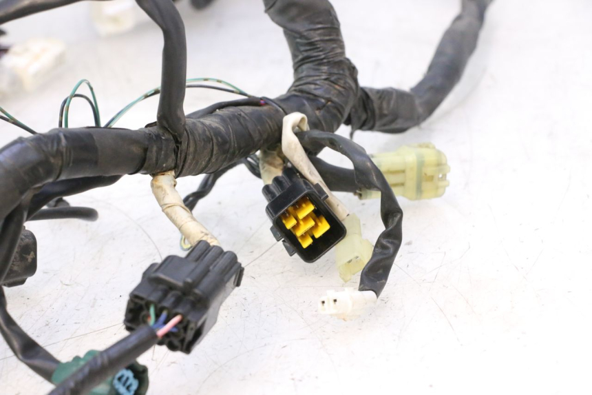 photo de CABLEADO YAMAHA YZF R6 600 (2008 - 2009) - Perfil de la pieza de repuesto