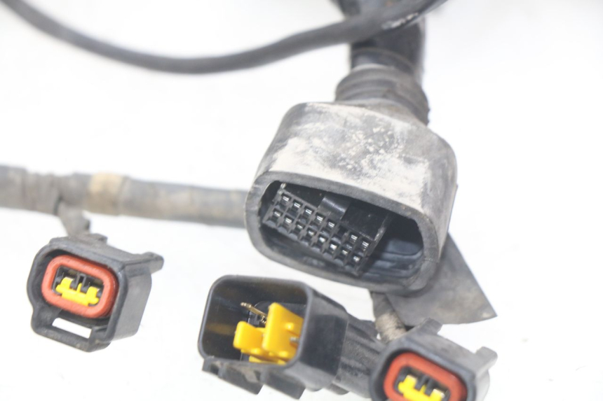 photo de CABLEADO KAWASAKI Z S 750 (2003 - 2006) - Otra perspectiva