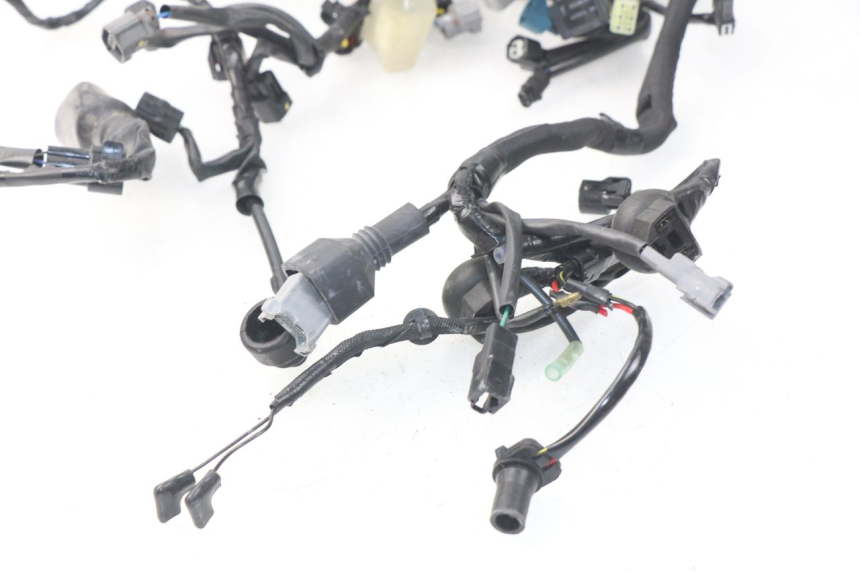 photo de CABLEADO KAWASAKI Z Z900 900 (2017 - 2019) - Enfoque en la estructura