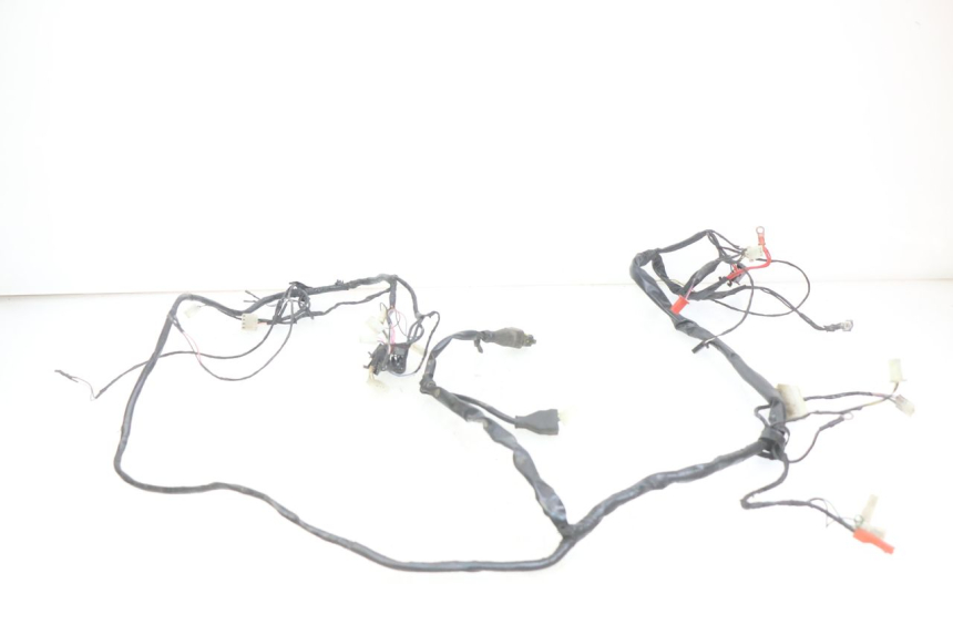 photo de CABLEADO PIAGGIO ZIP 2T 50 (2009 - 2019) - Zoom estado de uso