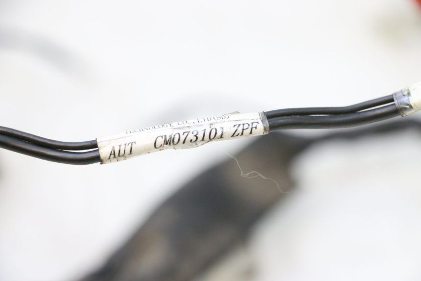 photo de CABLEADO PIAGGIO ZIP 2T 50 (2009 - 2019) - Detalle de la pieza