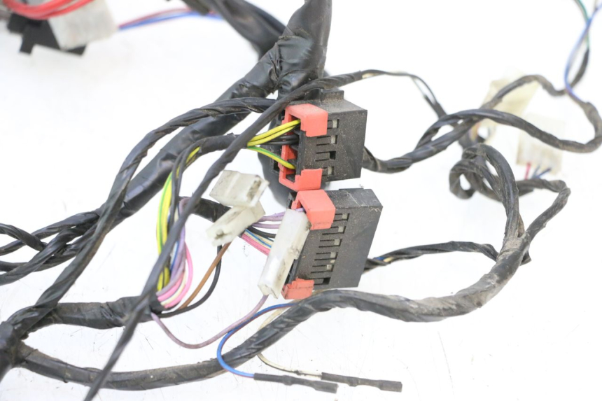 photo de CABLEADO PIAGGIO ZIP 2T 50 (2009 - 2019) - Zoom sobre los componentes