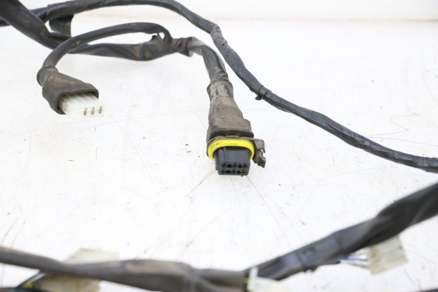 photo de CABLEADO PIAGGIO ZIP 2T 50 (2009 - 2019) - Vista general del producto
