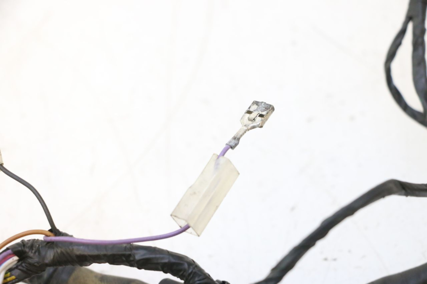 photo de CABLEADO PIAGGIO ZIP 2T 50 (2009 - 2019) - Vista general del producto
