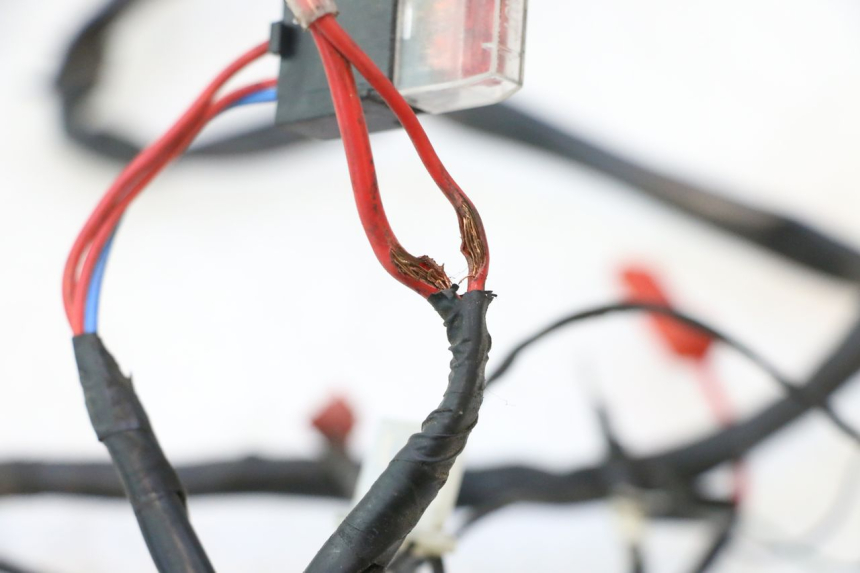 photo de CABLEADO PIAGGIO ZIP 2T 50 (2009 - 2019) - Detalles de los puntos de fijación