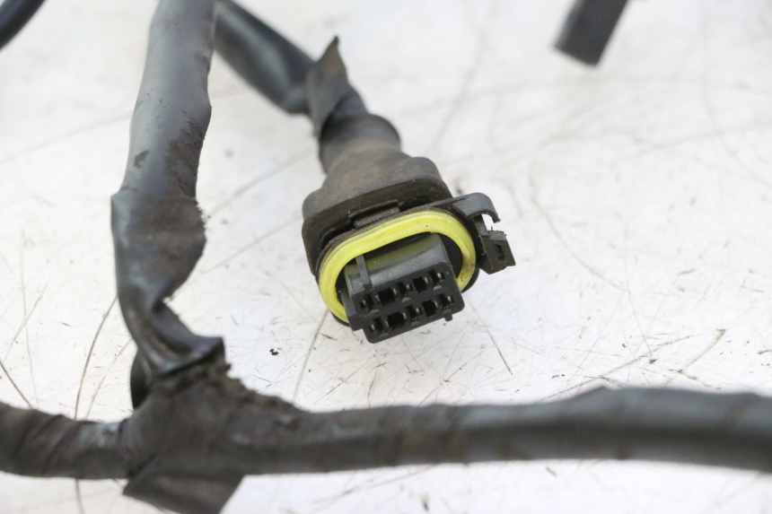 photo de CABLEADO PIAGGIO ZIP 2T 50 (2009 - 2019) - Características distintivas
