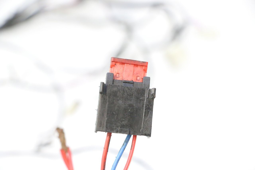 photo de CABLEADO PIAGGIO ZIP 2T 50 (2009 - 2019) - Foto de producto adicional