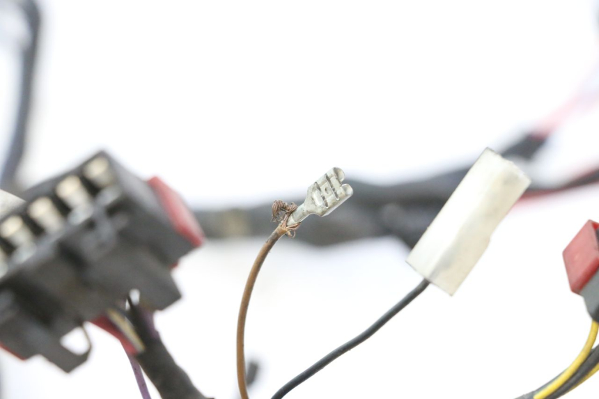 photo de CABLEADO PIAGGIO ZIP 2T 50 (2009 - 2019) - Inspección visual detallada
