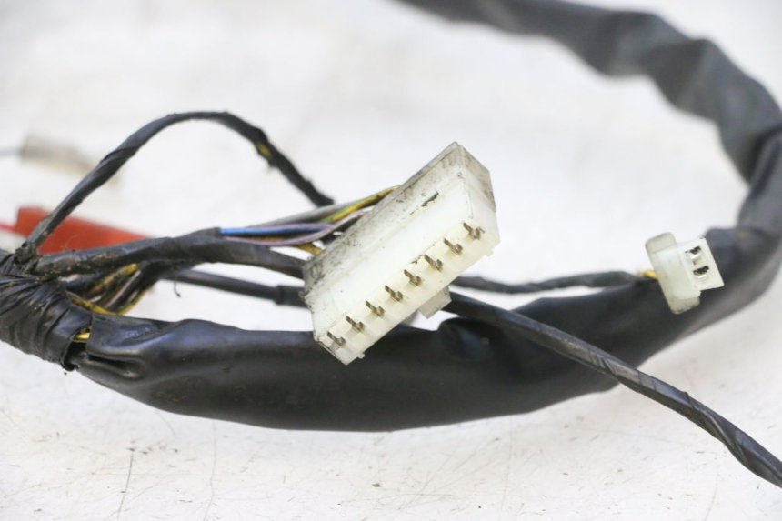 photo de CABLEADO PIAGGIO ZIP 2T 50 (2009 - 2019) - Marcados y referencias originales