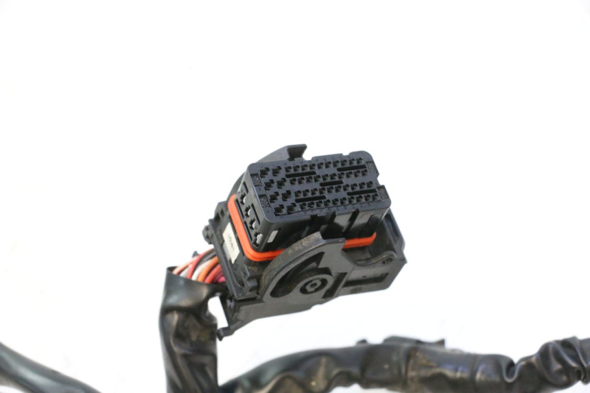 photo de CABLEADO PIAGGIO ZIP IGET 4T 50 (2021 - 2023) - Vista general del producto