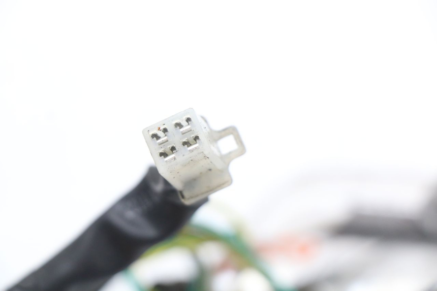 photo de LUZ TRASERA DERECHA PEUGEOT VIVACITY NEW 4T 50 (2008 - 2017) - Vista general del producto