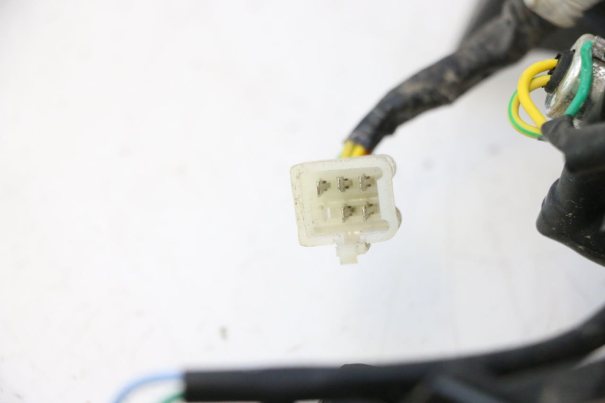 photo de FARO TRASERO PEUGEOT KISBEE 4T 50 (2018 - 2022) - Primer plano técnico