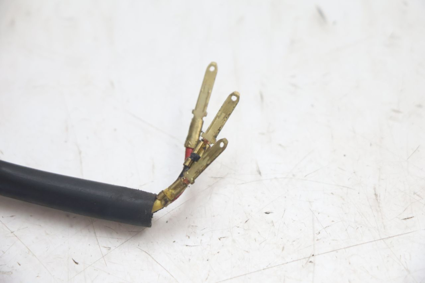photo de LUZ TRASERA PEUGEOT LUDIX SNAKE 2T 50 (2004 - 2014) - Recambio usado revisado