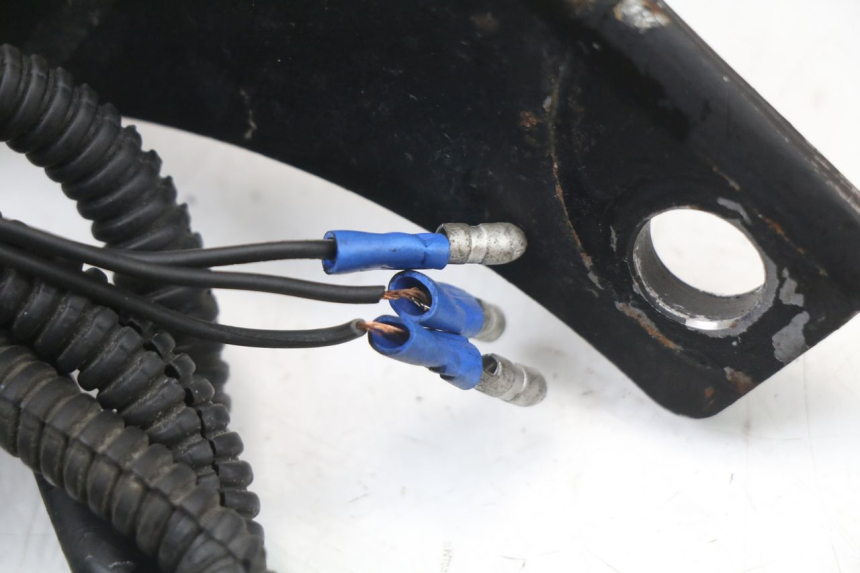 photo de LUZ TRASERA HARLEY DAVIDSON SPORTSTER XL CUSTOM 1200 (2003 - 2004) - Detalles de los puntos de fijación