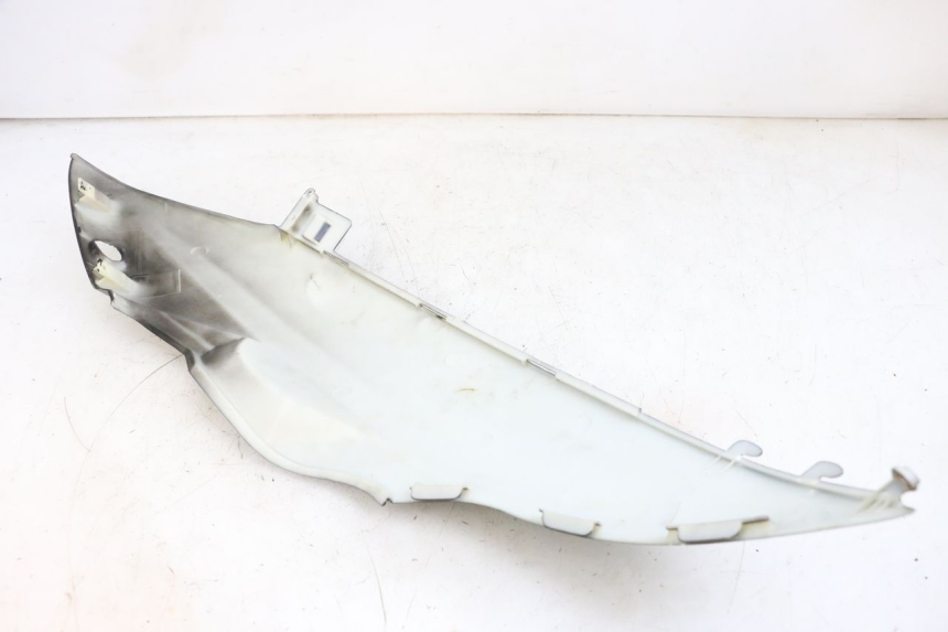 photo de CARENADO TRASERO DERECHA LONGJIA DIGITA 4T 50 (2019 - 2022) - Primer plano técnico