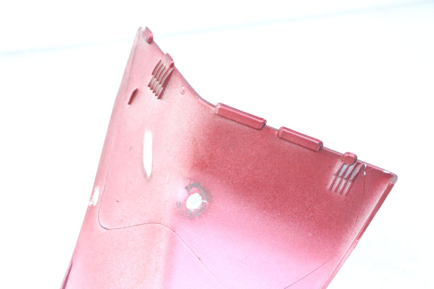 photo de CARENADO TRASERO DERECHA PEUGEOT ELYSTAR 125 (2002 - 2007) - Detalle de la pieza