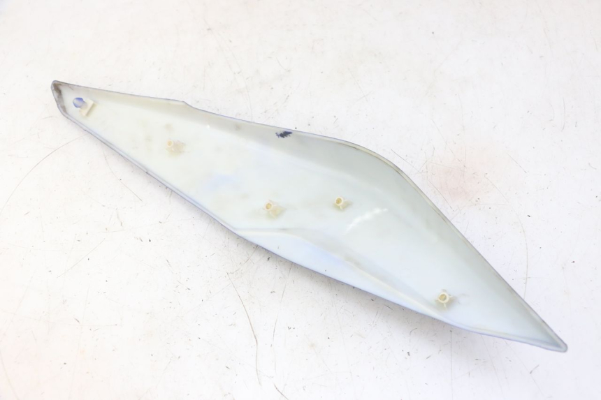 photo de CARENADO TRASERO DERECHA STAHO FH 50 (2018 - 2019) - Zoom estado de uso