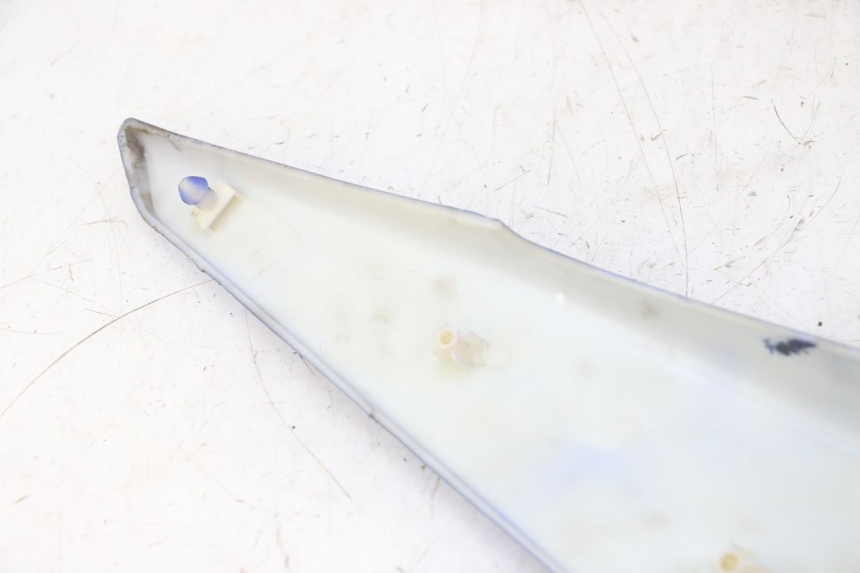 photo de CARENADO TRASERO DERECHA STAHO FH 50 (2018 - 2019) - Otra perspectiva